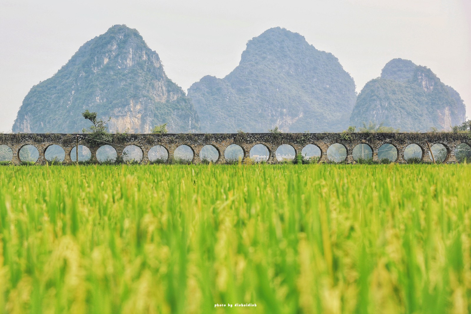 天等小记-登一座山爱一座城看一片天等日夕晨