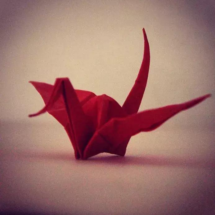 他用3个月时间，折叠了1000只千纸鹤，送给了他最亲爱的姑娘