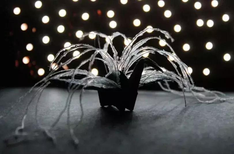 他用3个月时间，折叠了1000只千纸鹤，送给了他最亲爱的姑娘