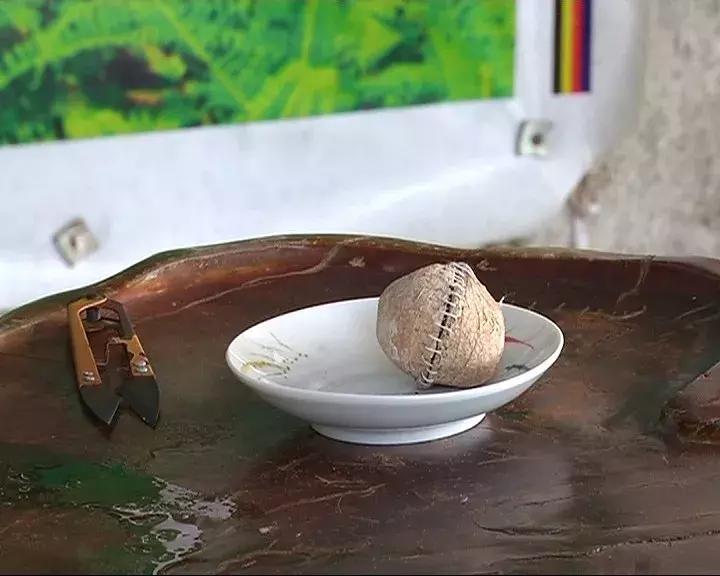 清远龙颈钟家村,龙颈镇钟家村