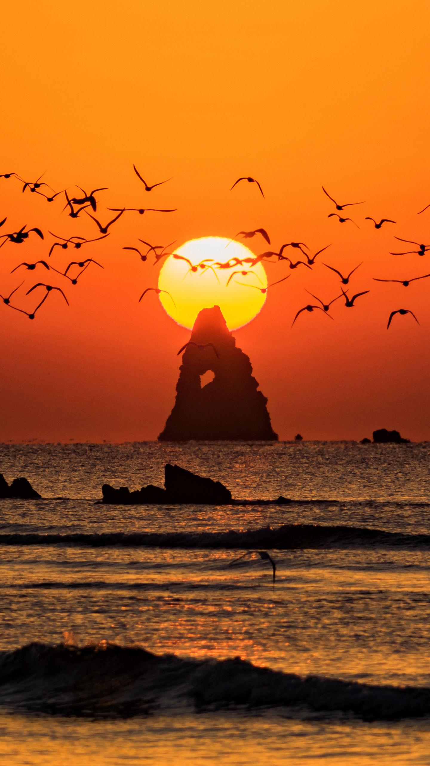 康乐村康乐桥,康乐桥的由来