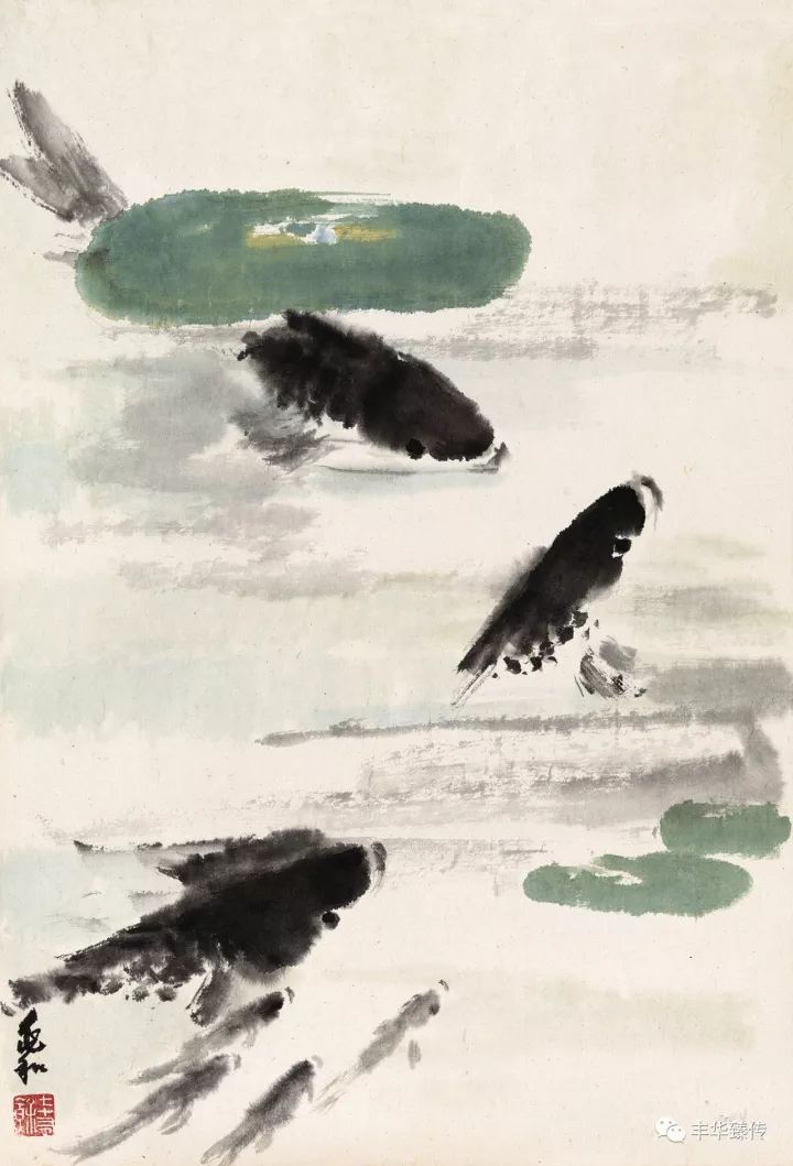 帽哥直播回放完整版最新,帽哥直播最新回放完整版