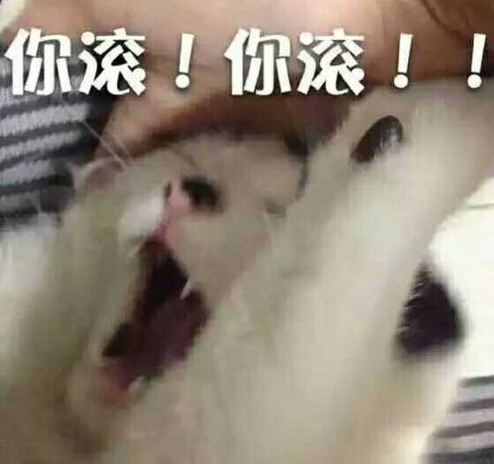 110京妞下嫁凤凰男？不，是高攀了