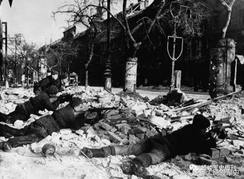 矢车菊凋谢在多瑙河畔：*党**卫军第22“玛丽亚·特蕾莎”骑兵师简史