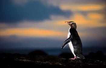 全球最适合3-18岁孩子旅游度假胜地