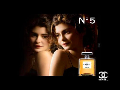 玫瑰为什么要有名字,玫瑰为什么叫蔷薇