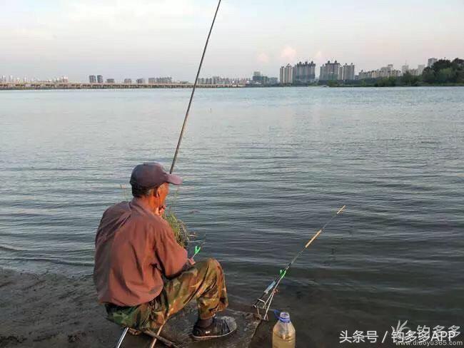 学钓鱼没点狠劲还真不行,鱼竿教学入门零基础野钓