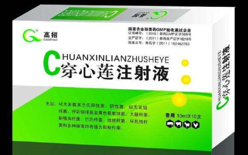 个人经验：仔猪黄白痢应该如何治疗，手把手教你