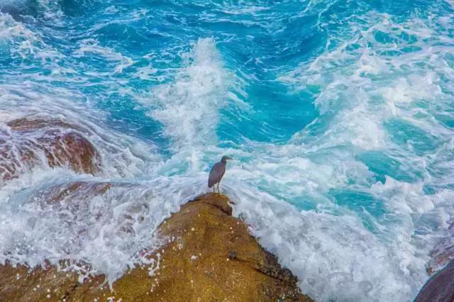 这里是中国人的“情人岛”，比巴厘岛浪漫，比塞班岛热情