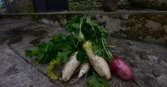 无量山樱花谷夏天,无量山樱花谷雾里看花