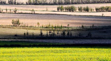 2019年医疗新闻热点事件,2018年9月18日医疗界大事