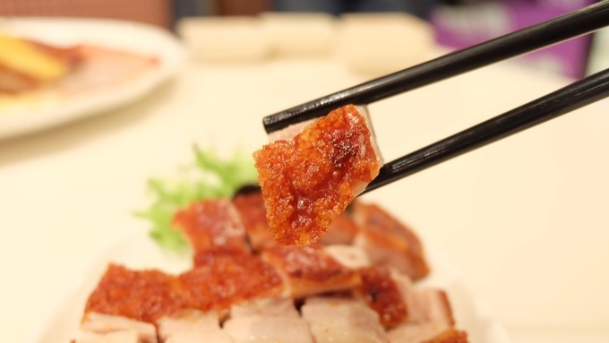 忍不住来香港撒了个儿欢，为小鹿贝比疯狂打call！