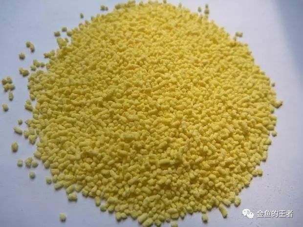 金鱼有哪些问题,金鱼出毛病