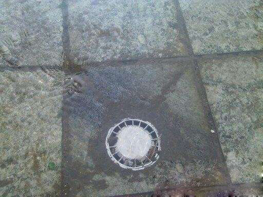 楼房下水管堵塞需要均摊吗,楼下下水管堵塞可以在楼上修吗