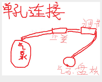 养鱼新手需要知道的一些事情,新手养鱼的10个忠告