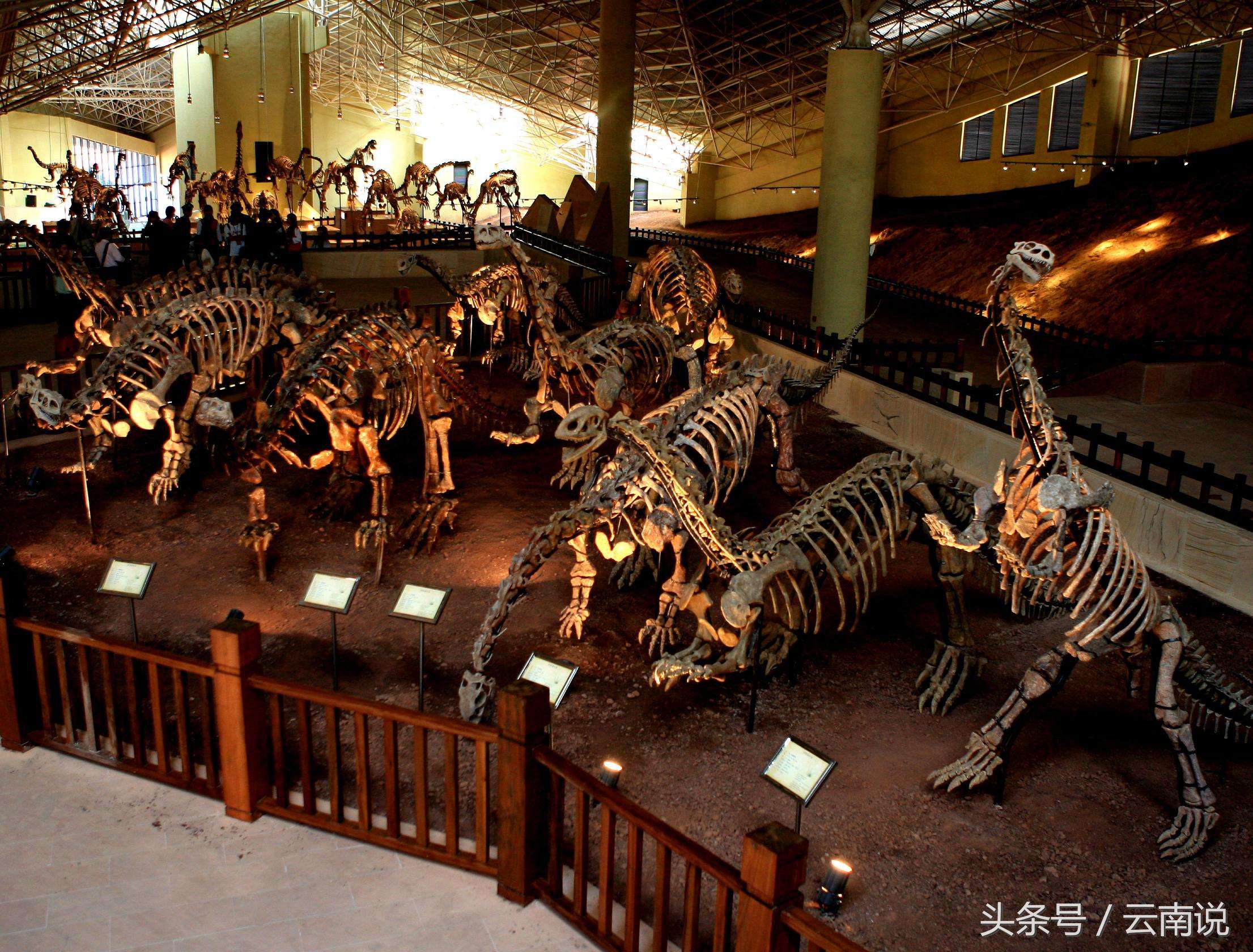 禄丰世界恐龙谷相约一亿年,世界恐龙谷和禄丰恐龙地质公园