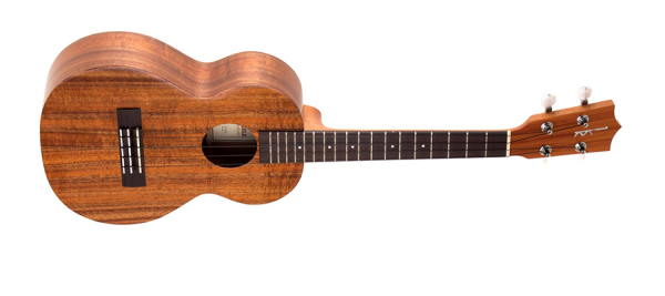 最全吉他类型解析,万万没想到贝斯