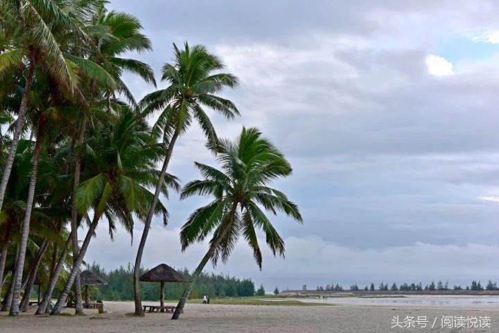 海南东郊椰林旅游攻略,海南静谧的椰林