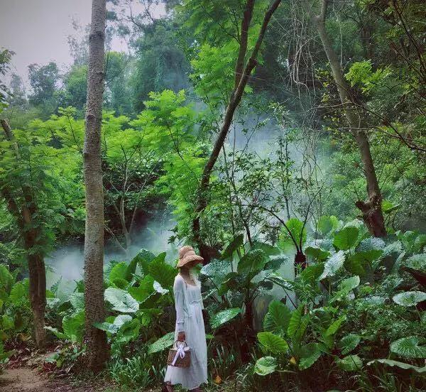 去厦门旅游怎么玩最好,去厦门该怎么玩