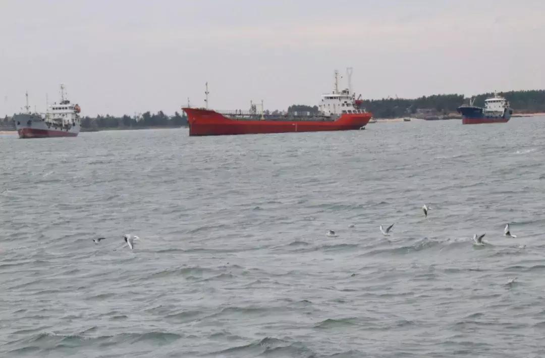 湛江十里军港特呈岛亲子游