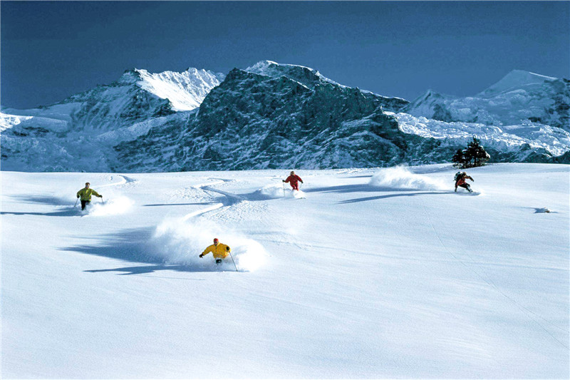 冰情雪趣绘画,冰情雪趣创意画