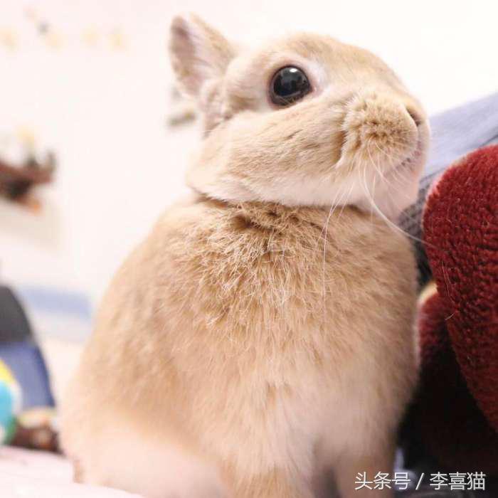 冬天这么冷就多互相温暖吧,冬天这么冷我们互相取暖