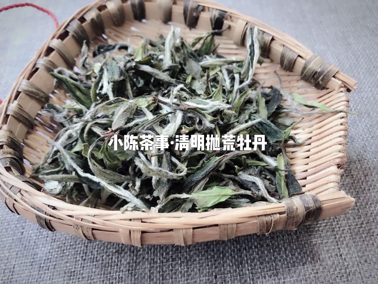 想了解白茶,花五分钟读完白茶这十个特点!