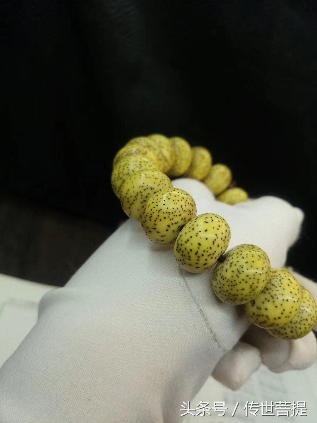 极品16*11黄金苹果圆手串，黑星老料小细星表面无连星完美无瑕