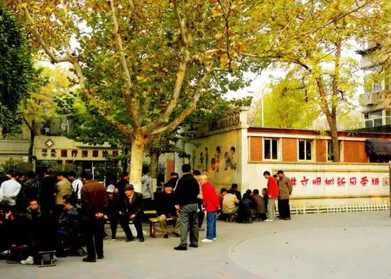 天津最值得去的公园排名榜前十,天津津南区值得游玩的公园