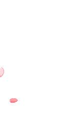 如此少女心怎么忍得住！快去剁手吧！