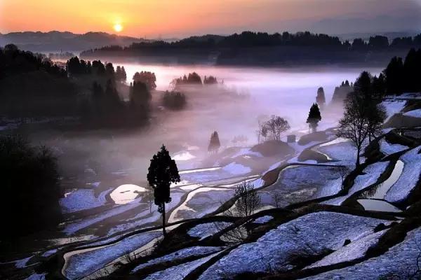 深度解密日本茶,日本茶入门