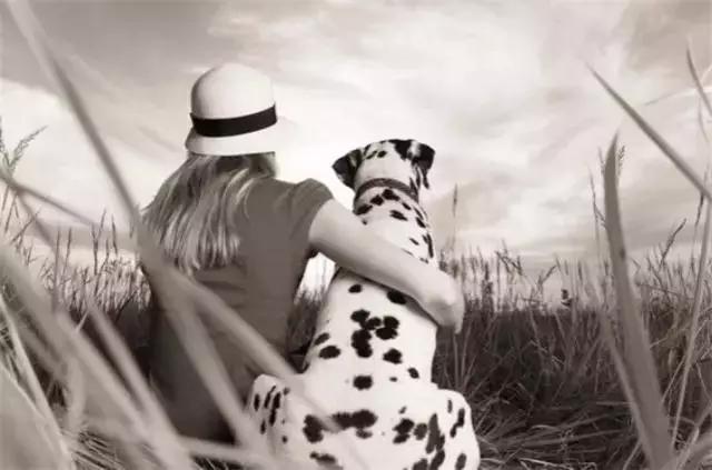 因为害怕失去你所以失态了,因为害怕失去所以不敢养狗