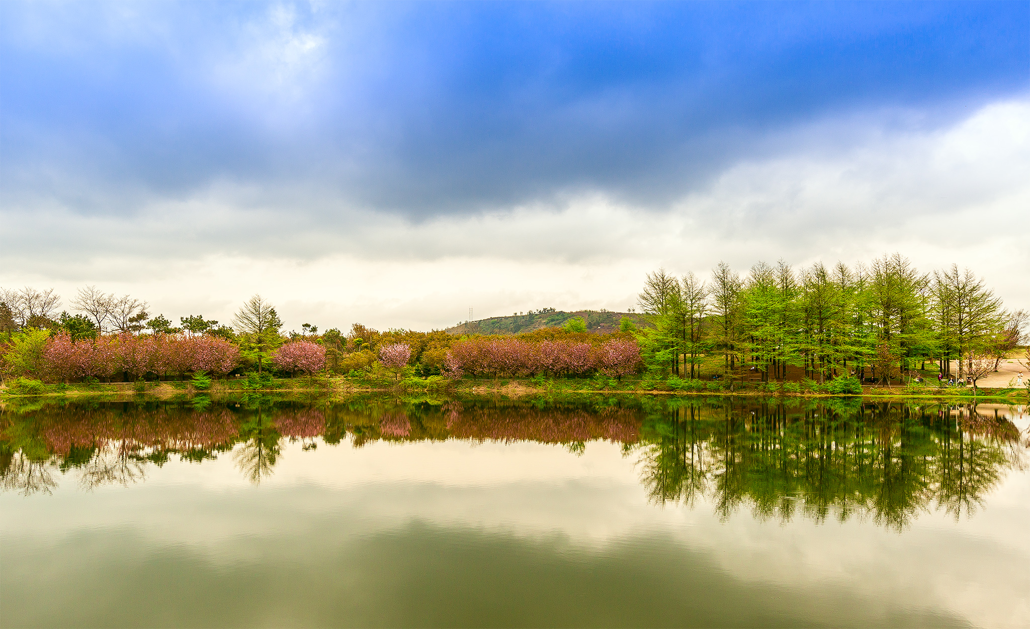 四明山地质公园和四明山森林公园,观四明山云海仙境有感