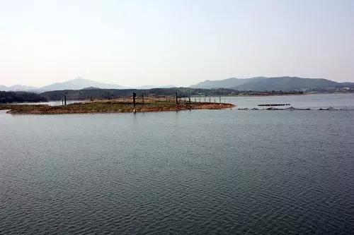 最新重庆周边钓鱼地点推荐,重庆免费钓鱼的最佳地点