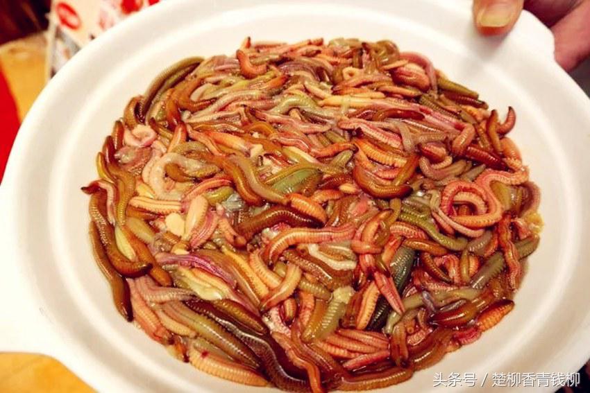 泥地里罕见的“绝世美味”,卖100多元一斤,亩产值高达10万!