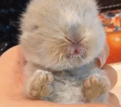 冬天这么冷就多互相温暖吧,冬天这么冷我们互相取暖