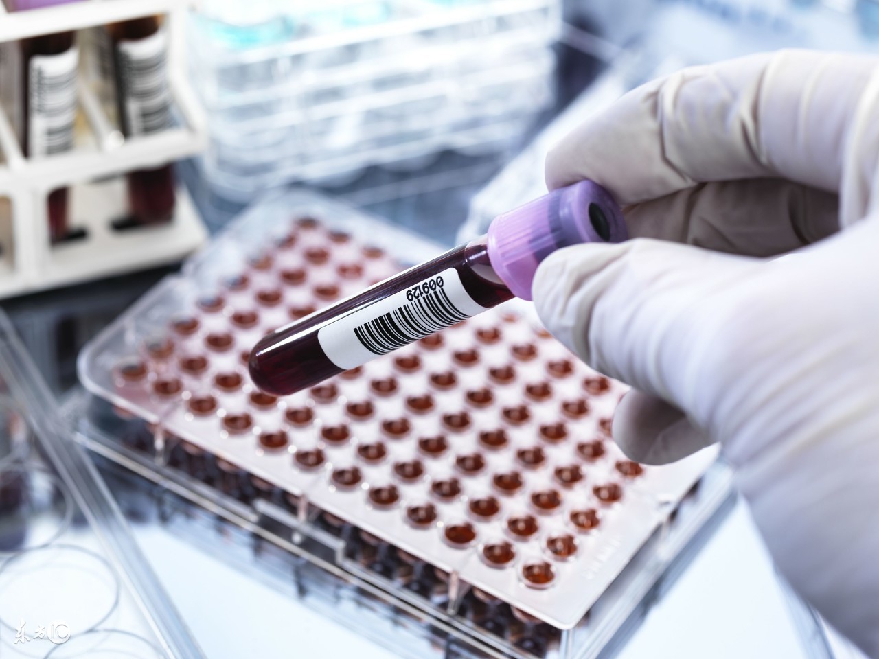 怀孕几个月可以看宝宝,怀孕几个月可以看孩子健不健康