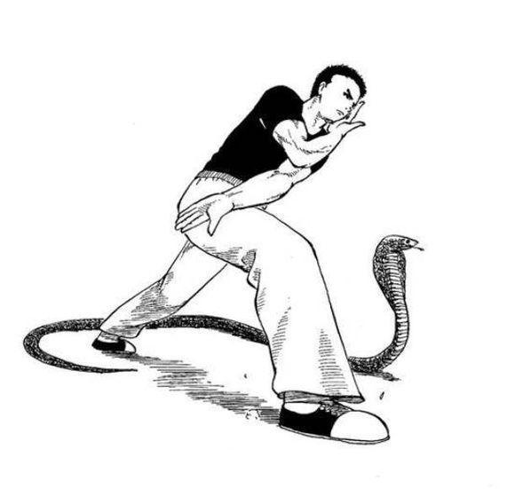 中国武术三大名拳,中华武术内家拳