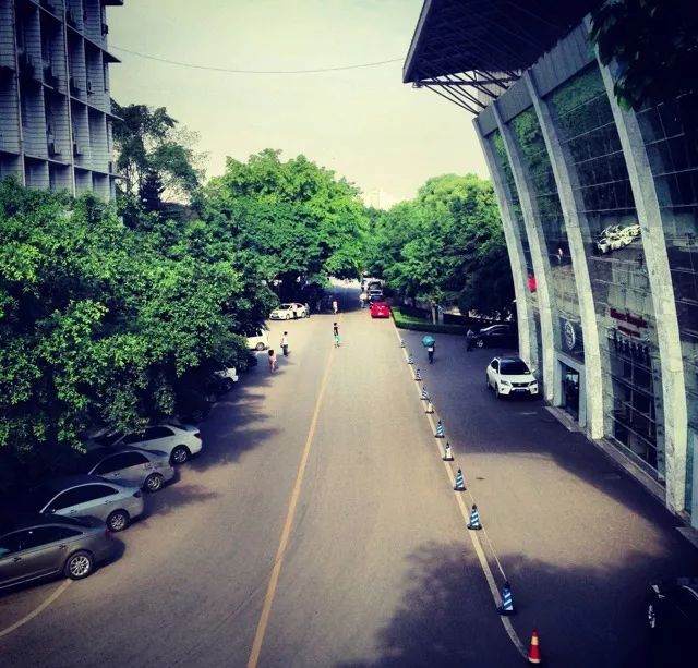 川外成都学院重庆,一个魔幻的佛系女子学院