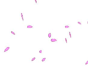 2018chanel鏂板搧缇庡鑵孩,2020鎶栭煶鐖嗘缇庡