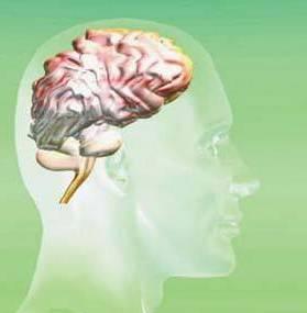 脑肿瘤做完手术发烧咋回事,脑部肿瘤手术后头痛怎么办