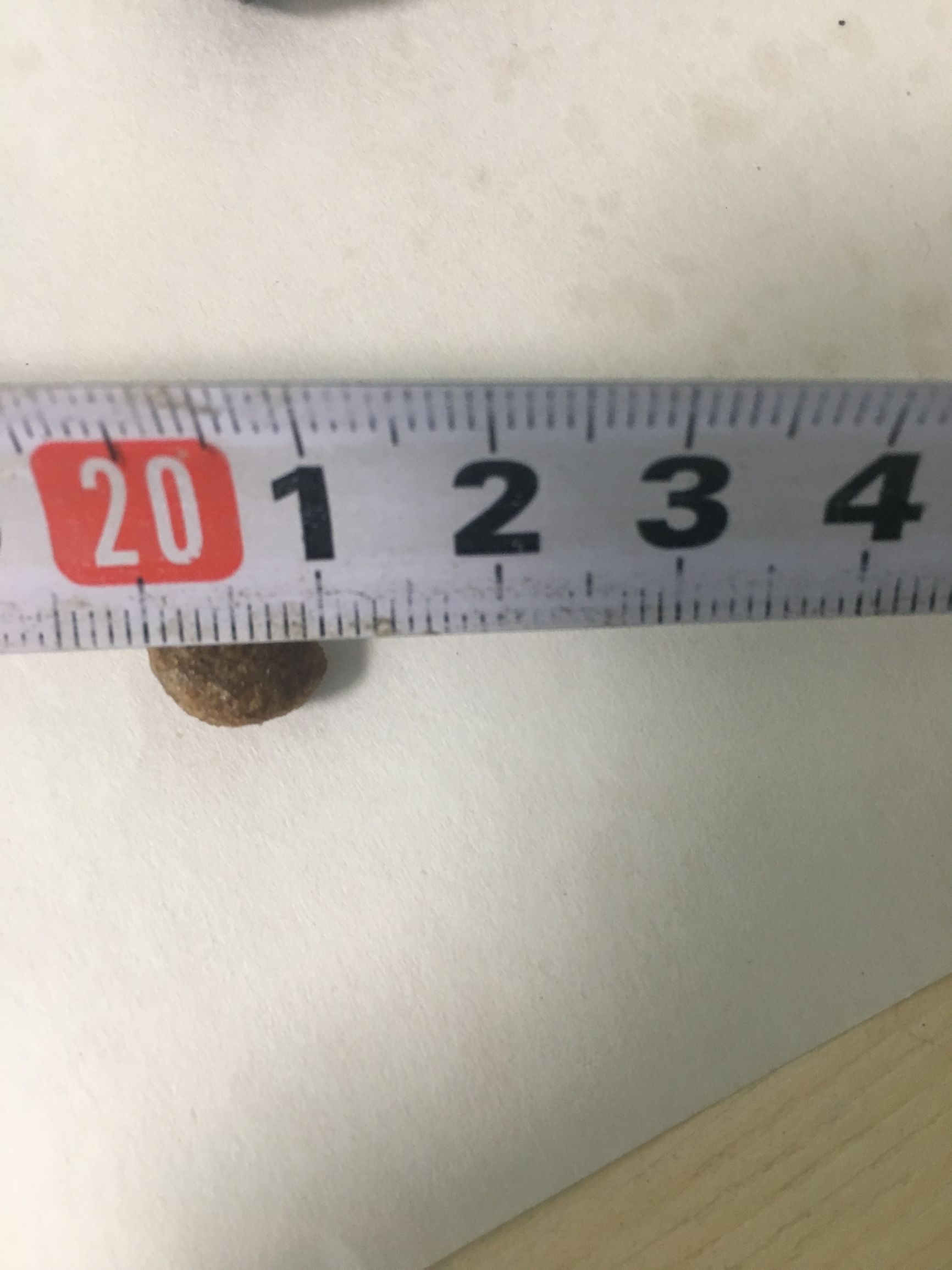 狗粮怎么选进口国产狗粮测评,进口国产狗粮测评