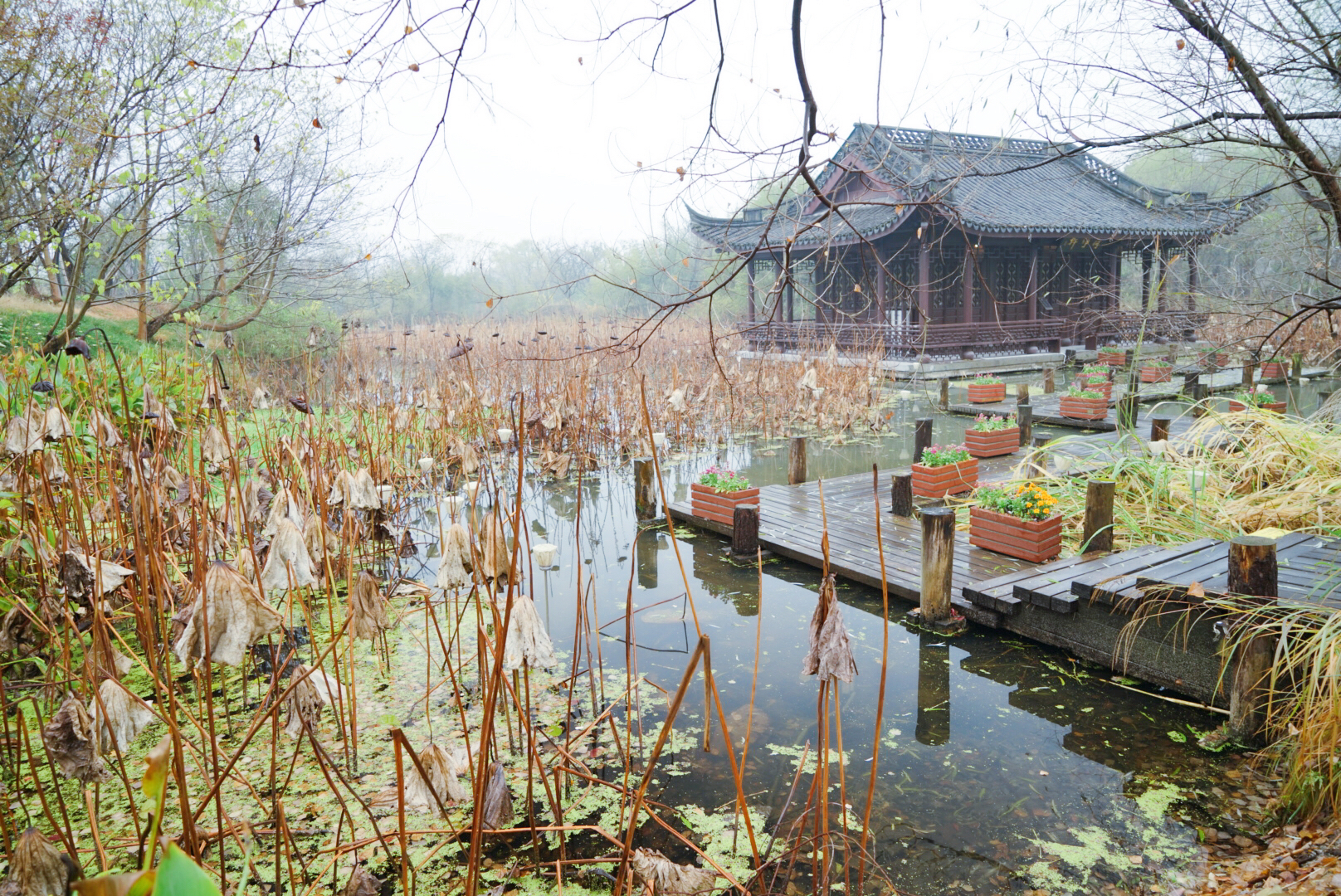 我和玛莎拉蒂的故事,我与玛莎拉蒂的故事