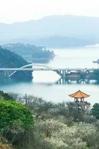 深圳本周有什么活动,最近深圳周末有什么活动吗