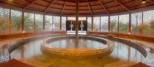 魔都温泉摘草莓,魔都温泉一日游攻略