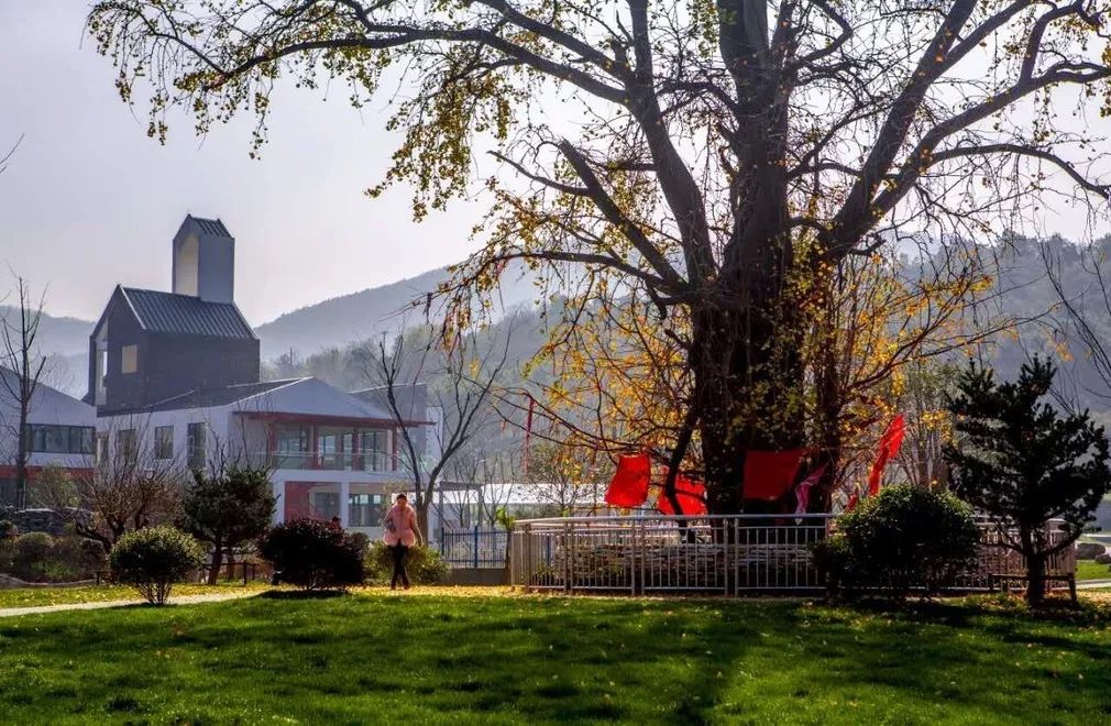 亲子推荐│蝶梦山丘—让蝶入梦、与蝶共舞