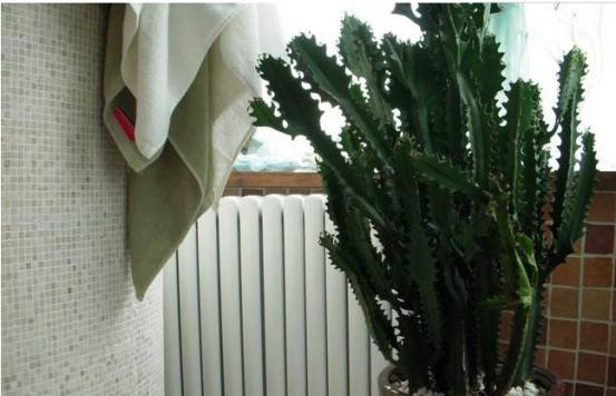 如何防止暖气片熏黑墙面,暖气片把白墙都烤黑了有什么办法