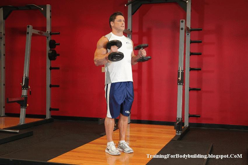 为什么二头肌怎么练都不痛,二头肌为何练完不疼