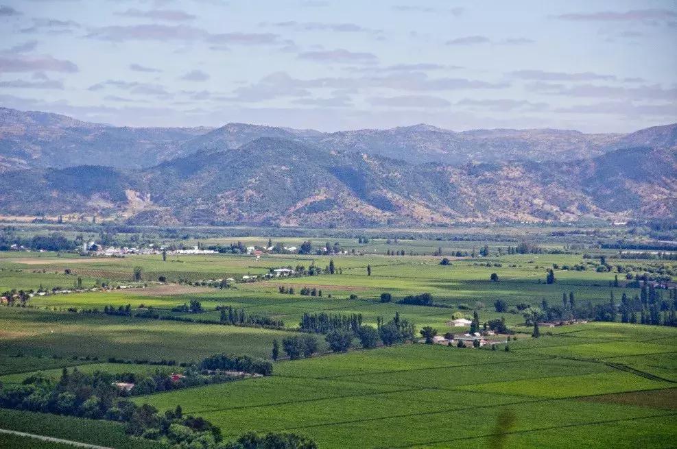 新手怎么挑选适合自己的红酒,新手入门怎么挑选红酒