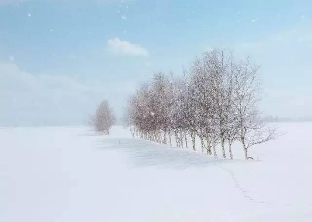 北海道自由行路线攻略,第一次去北海道去哪